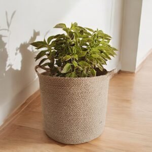 Jute Rope Planters – Sustainable and Stylish