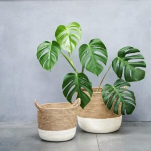 jute and cotton rope planter basket, eco-friendly plant holder, two-tone storage basket, natural jute planter, medium and large rope baskets, decorative indoor plant holders, sustainable storage baskets, minimalist storage solutions, modern jute and rope baskets, stylish home decor baskets